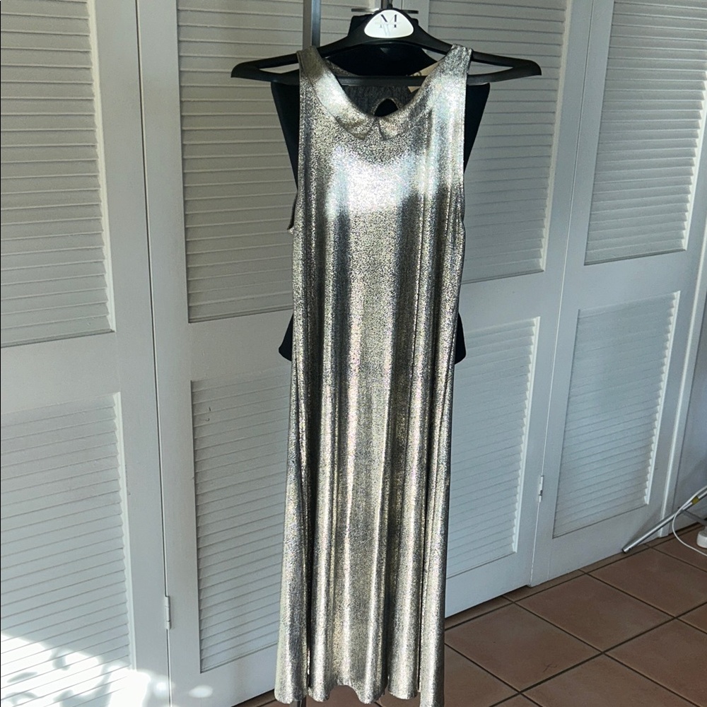 Elegant Silver Sleeveless Dress
